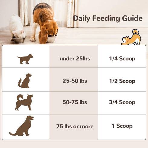 10 50% Immune 60g Turkey Tail Mushroom Powder for Dogs, Organic Mushroom Blend for Lipoma Lumps and Bumps, Dog & Cat