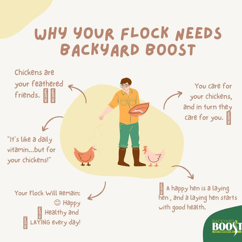 2.5 Backyard Boost Daily Essentials Chicken Feed | Pelleted High Protein Food for Laying Hens | Pound Bag