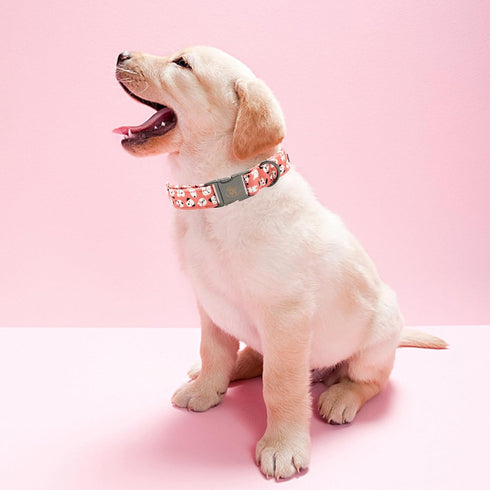 Elegant little tail Dog Collar, Valentine's Day Pet Collar, Pink Dog Print Adjustable Collar for X-Small Dogs