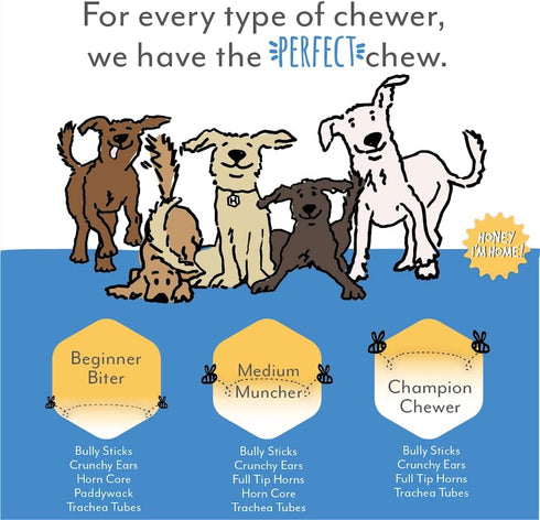 Honey I'm Home Buffalo Crunchy Ears Dog Chews, 4-Pack – All-Natural, Grain-Free, Healthy & Crunchy Treats