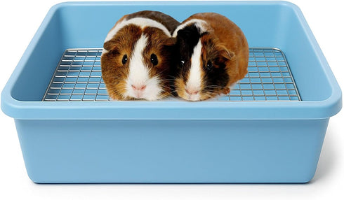 Oncpcare Deep Guinea Pig Litter Box with Metal Grid, Plastic Bunny Litter