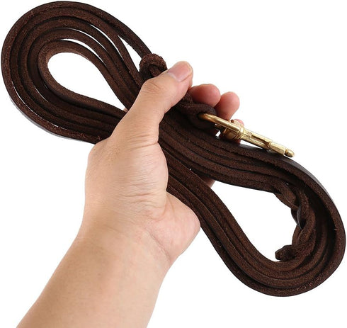Premier Braided Leather Dog Leash 6/8/10 ft for Strong Medium Large Dogs, Heavy Duty Training Leash (10FT)