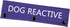 Dog Reactive Leash Sleeve - Nervous Dog Leash Wrap with Reactive Dog Patch