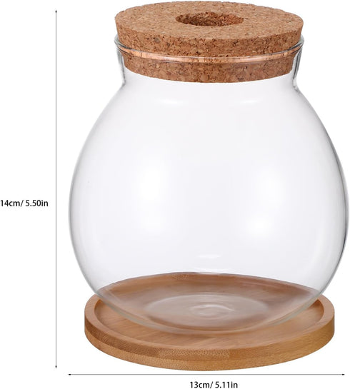 POPETPOP Clear Glass Desktop Fish Bowl with Wood Lid and Bamboo Stand, Hydroponic Planter Vase