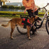 Bolux No-Pull Reflective Dog Harness, Adjustable Vest with Handle for Outdoor Walking (Red, L)