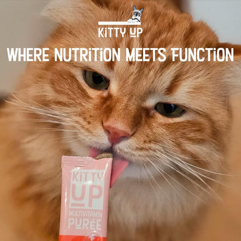 Lickable Cat Treats - Real Tuna Multivitamin Puree with Lysine & Taurine for Indoor Cats, 12 Pack