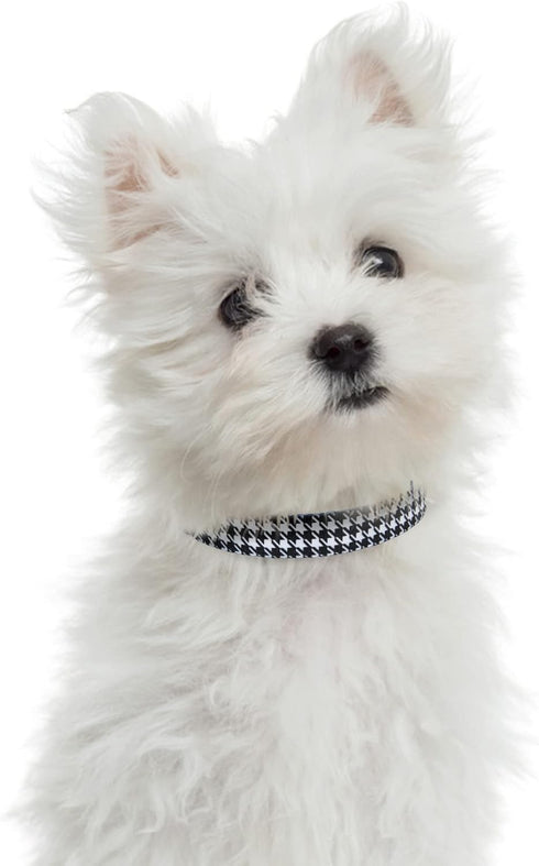 Mile High Life Dog Collar, Nylon Puppy Collars with Cute Patterns, Lightweight Girl Boy Collar for Small Medium Large