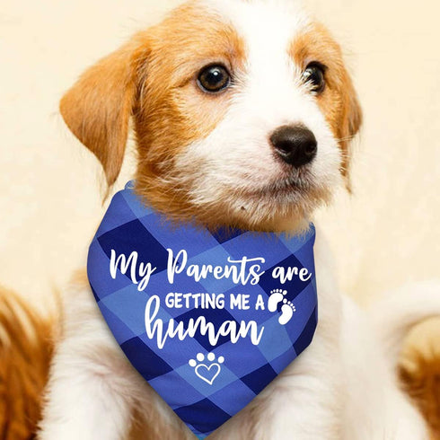 My Parents are Getting Me a Human, Plaid Dog Bandana, Pregnancy Announcement Photo Prop for Dog Lovers, Pack of 2