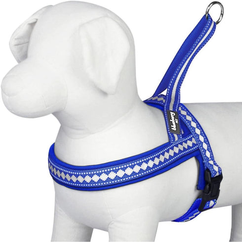 Blueberry Pet 3M Reflective Jacquard Padded Dog Harness, 21.5" - 27.5" Chest Girth, Palace Blue, S/M