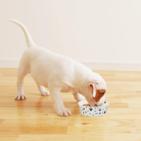 Disposable Dog Bowls - 30 Pcs 16 Ounces Paper Bowls for Pet Food and Water Serving for Small Medium Dogs and Cats
