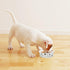 Disposable Dog Bowls - 30 Pcs 16 Ounces Paper Bowls for Pet Food and Water Serving for Small Medium Dogs and Cats