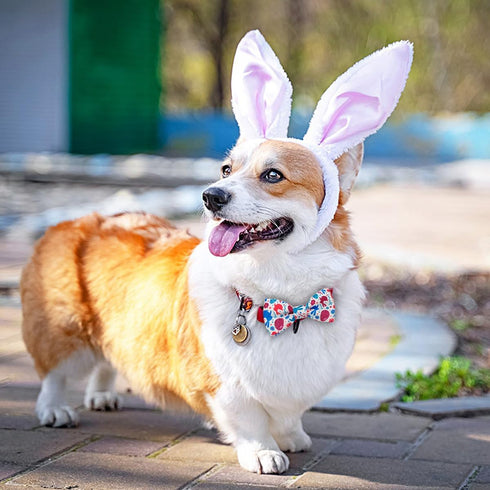 PET SHOW 10pcs Easter Day Small Dog Bow Ties for Medium Dogs, Detachable Bowties with Elastic Bands for Collars