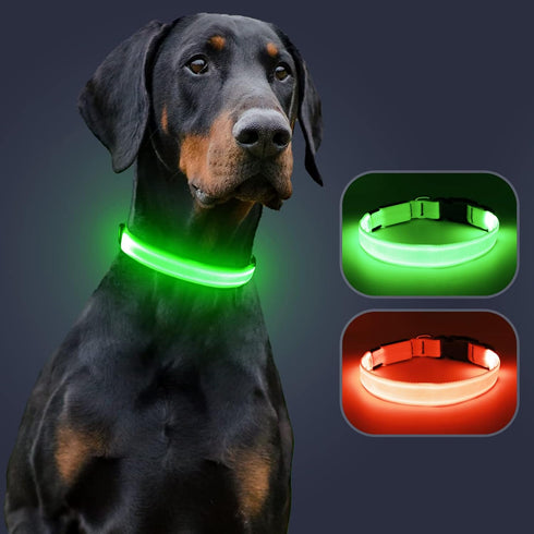 Light Up Dog Collar, Adjustable LED Rechargeable Waterproof for Night Walking, Glow in The Dark for Medium Large Dogs