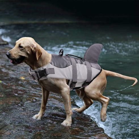 Queenmore Dog Life Jacket, Adjustable Ripstop Shark Safety Vest, High Buoyancy, Durable Rescue Handle, Grey Shark Small