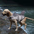 Queenmore Dog Life Jacket, Adjustable Ripstop Shark Safety Vest, High Buoyancy, Durable Rescue Handle, Grey Shark Small