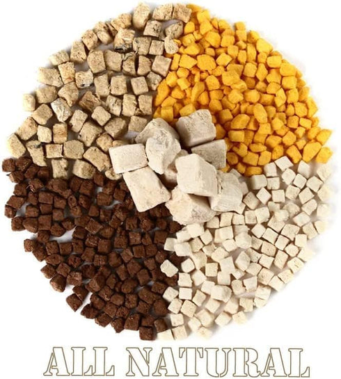 Organic Freeze Dried Dog & Cat Treats - Single Ingredient, Grain Free Food Toppers, Salmon, 3.5 oz Bag