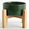 Petygooing Rust Green Elevated Ceramic Dog Bowl for Small Breeds, Anti-Slip Rubber Stand, 13.5 OZ (5.1 In / 1.7 Cups)
