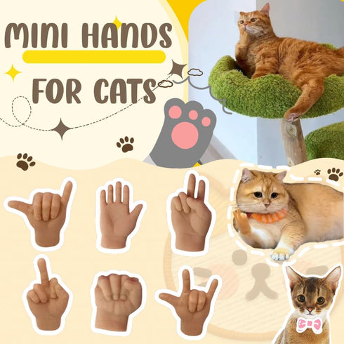 Mini Hands for Cats, 3/6Pcs Tiny Folded Hands for Cat Paws, Funny Tiny Hands Toy for Cats Puppy, Cute Mini Gloves for Cats, Stretchable Little Hands for Cats, Interactive Toys for Cats (3pcs)