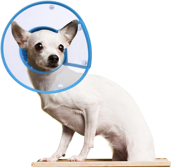 Cat Cone Collar for Recovery, Elizabethan After Surgery, Clear Soft Neck E-Collar for Kitten Puppy Dog Pet - M in Blue