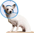 Cat Cone Collar for Recovery, Elizabethan After Surgery, Clear Soft Neck E-Collar for Kitten Puppy Dog Pet - M in Blue