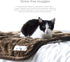 Pet Parents Pawtect Blanket, Premium Waterproof Cat & Dog Blanket with WickQuick & Sherpup Technology, Puppy Blanket,