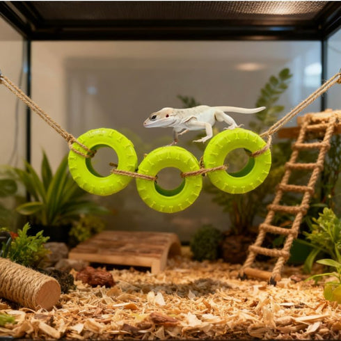 DGHAOKI Hermit Crab Climbing Accessories Decor for Reptile Tank Tire Swing for Hermit Crab Chameleon Leopard Gecko Tree