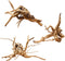 Hamiledyi 5.9-7.9in Natural Driftwood Spider Wood Assorted Branches for Fish Tank Decoration (3 PCS).
