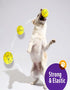 Dog Balls Upgraded Durable Tennis Ball - 5.3'' for Aggressive Chewers, 3 Pack for Large, Medium, Small Dogs.