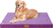 Patas Lague Checkered Orthopedic XXL Dog Bed for Extra Large Dogs, Waterproof with Removable Cover, Purple (48''X30'')