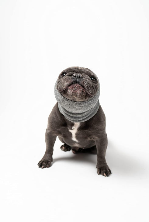 Pet Hoodz for Dogs - Anxiety, Grooming, Ear Muffs, Dog Ear Protection, Calming, Ear Compression Hoodie (Large, Grey)