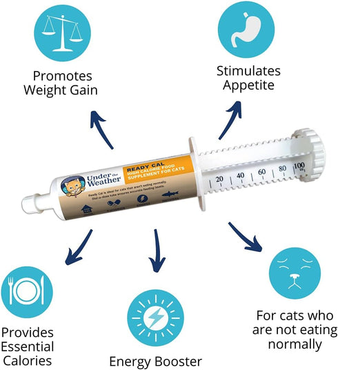 100cc 10 7 100cc) Under The Weather Pet | Ready Cal for Cats | High Calorie Supplement | Cat Weight Gainer and High