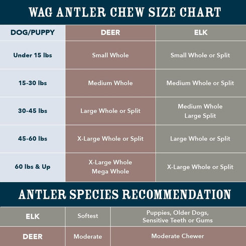 Amazon Brand - Wag Dog Elk Antler Chew, Naturally Shed, Whole, Large 8-9.5 inches (Best for Dogs 30-45 lbs), 3.60 Oz