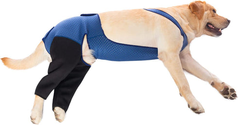 Coodeo Dog Recovery Suit, Cone Collar Alternative, Abrasion Resistant, Washable, Waterproof for Pet Wounds (L, Blue)
