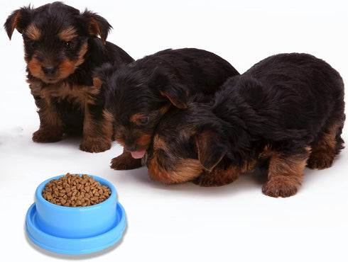 2pcs Colorful Plastic Round Dog Bowls, No Spill Water Food Feeder Dish for Cats and Puppies