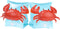 HeySplash Inflatable Armbands for Kids, Pool Arm Floatie Sleeves, Up to 55lbs, Aged 3-6