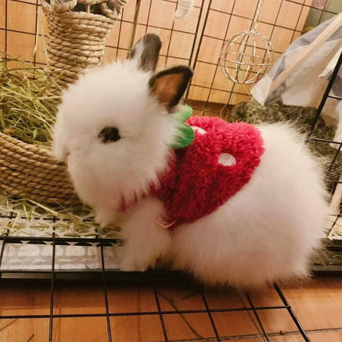 ANIAC Bunny Clothes for Rabbits - Warm Kitten Vest Fleece XXXS Dog Shirt for Small Animals (3S)