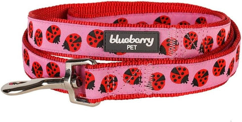Blueberry Pet Essentials 4 ft x 1" Durable Pink Webbing Ladybug Designer Dog Leash, Basic Nylon Leash for Dogs