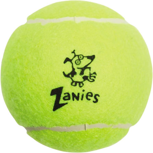Zanies Puppy Pride Tennis Balls for Dogs, 6-Pack, 2.5-Inch Diameter, Rainbow Pride Flag Colors
