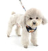 SMALLLEE_LUCKY_STORE Small Dog Cat Mesh Harness & Lead, No Escape Adjustable Padded Military Camo Blue, M