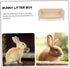 Compact Rabbit Litter Box for Pet Training - Durable Design
