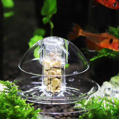 Snail Catcher Plastic Aquarium Snail Trap Box with Fishing Line and Sucker for Fish Tank