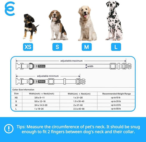 Blueberry Pet Essentials Large Dog Collar, Turquoise | Adjustable & Eco-Friendly Nylon Strap | Classic Collar for Large