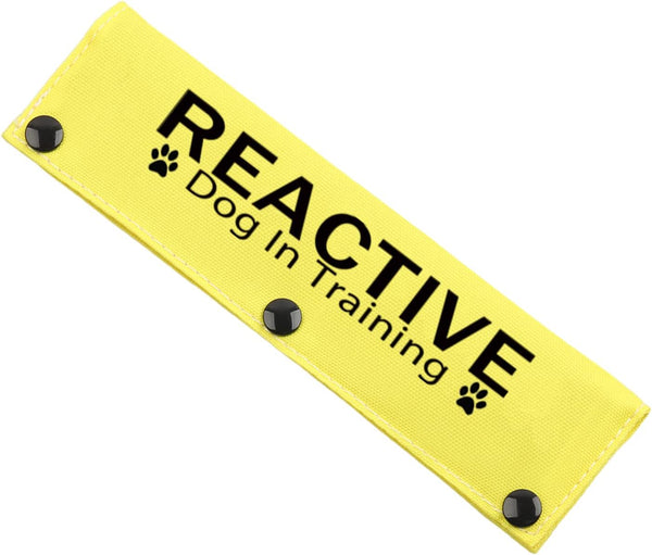 JXGZSO Reactive Dog Leash Sleeve, Do Not Stare Training Wrap for Service Dogs (Reactive D in Train DLS)