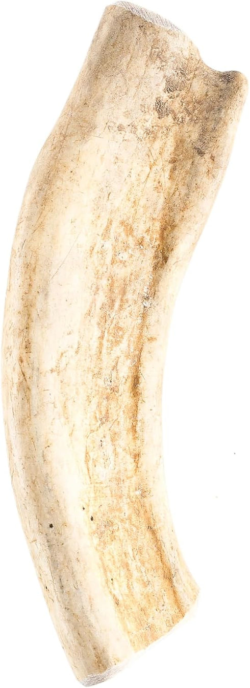 Pet Parents Gnawtlers Premium Deer Antlers for Dogs, Naturally Shed, All Natural Dog Chew (Large, 1 Count)