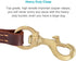 FAIRWIN Leather Dog Leash 6 Foot - Best Dog Training Leash Heavy Duty for Large Medium Small Dogs (5/8", Brown)