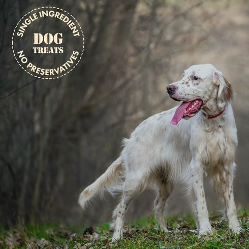 3.5oz (Pack 4) MVPChews | Freeze Dried Beef Liver Dog Treats | Single Ingredient Training Treats | High Protein, Grain