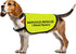 Nervous Rescue Dog Jacket Vest, Dog Walking Slogan Warning Vest, Medium