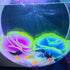 Glow Aquarium Decor by Glowing Fish Tank Decorations, 2pcs Silicone Flower Plants & 10pcs Colourful Sea Shells