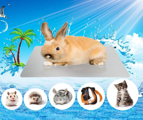 Rabbits Cooling Mat, Self Cooling Mat Pad for Hamster, Guinea Pig, Chinchilla, Bunny, Kitten, Cat, Rapid Cooling for