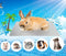 Rabbits Cooling Mat, Self Cooling Mat Pad for Hamster, Guinea Pig, Chinchilla, Bunny, Kitten, Cat, Rapid Cooling for